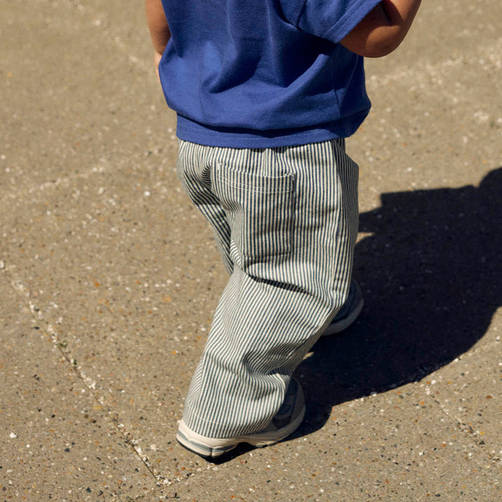 STRIPE DENIM pants