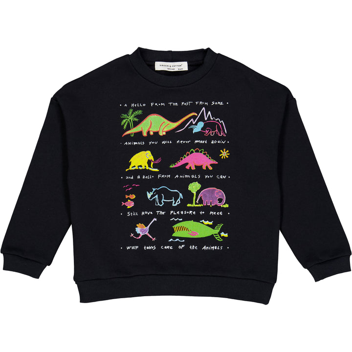 WWF dinosaur sweatshirt -kids