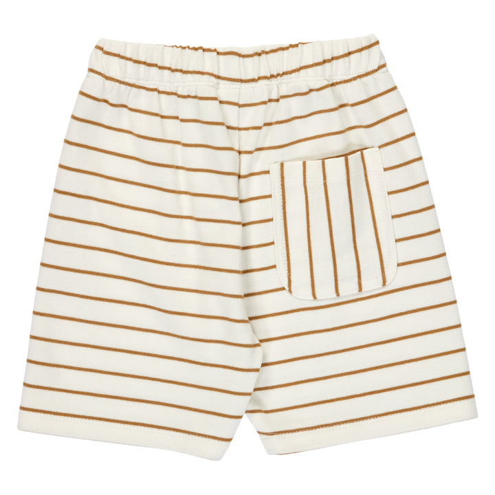 STRIPE shorts