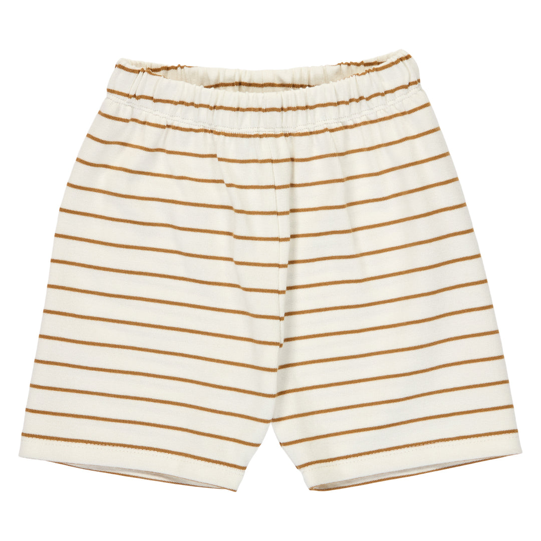 STRIPE shorts