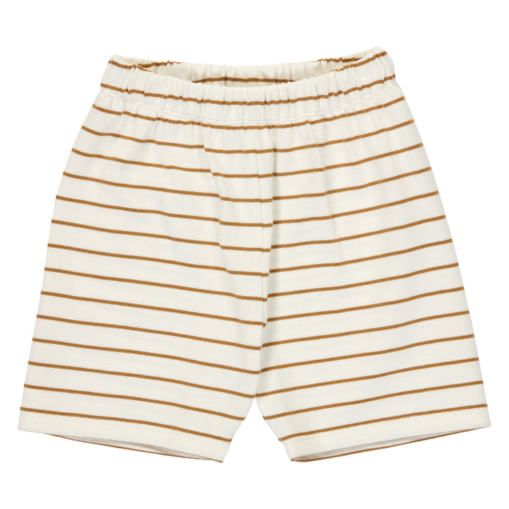 STRIPE shorts