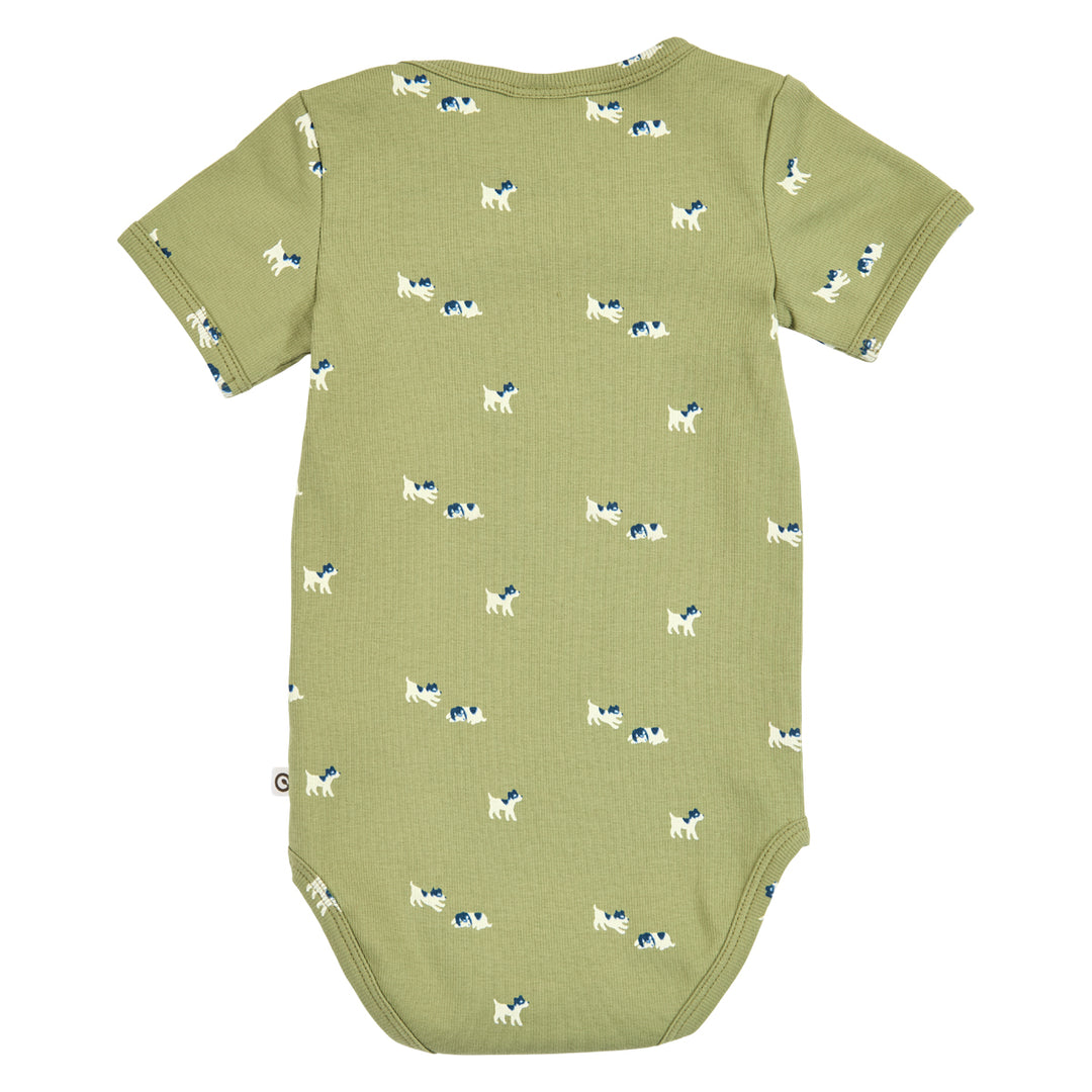 BFF rib body with puppies