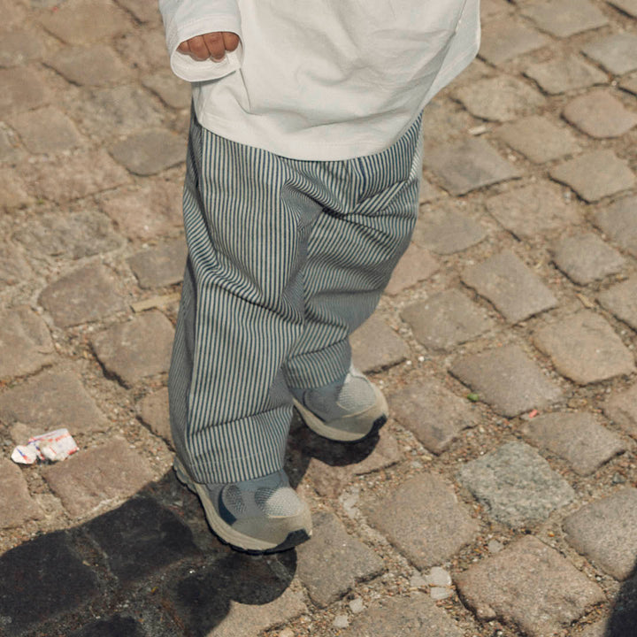 STRIPE DENIM pants