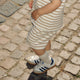 STRIPE shorts