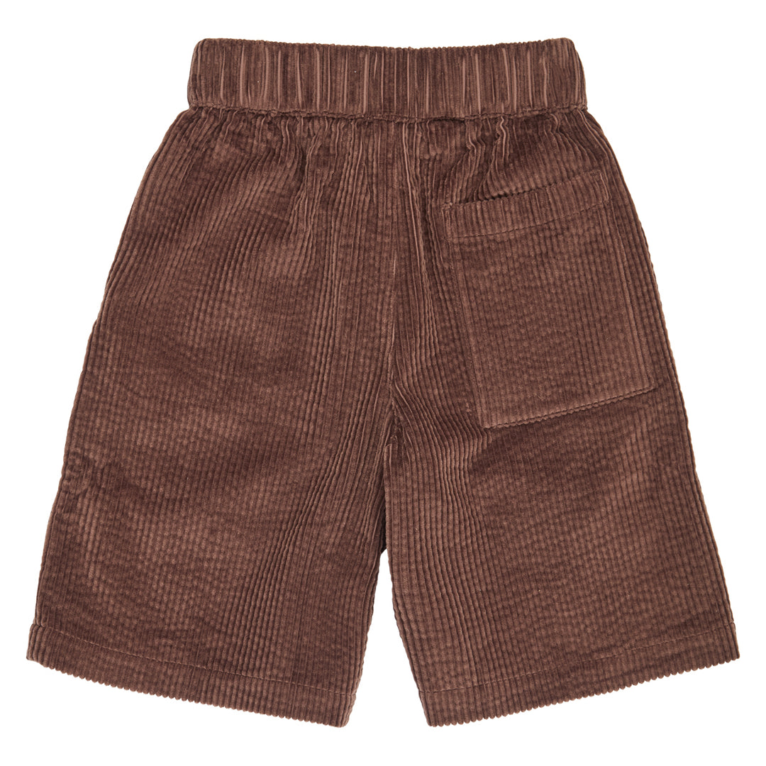 CORDUROY shorts