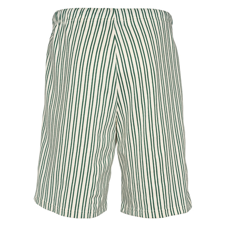 STRIPE men's shorts